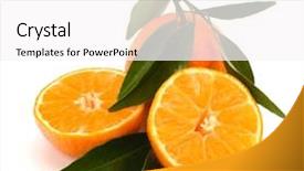  Presentation with growing micro greens isolated - Audience pleasing PPT theme consisting of foetus - tangerines isolated on white background backdrop and a white colored foreground