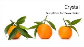  Presentation with background - PPT layouts consisting of foetus - tangerines isolated on white background background and a  colored foreground