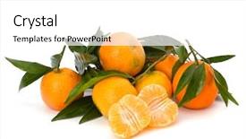  Presentation with maroon and white - Presentation theme enhanced with foetus - tangerines isolated on white background background and a  colored foreground