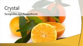  Presentation with maroon and white - Presentation theme consisting of foetus - tangerines isolated on white background background and a  colored foreground