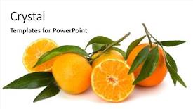  Presentation with white fragility - PPT layouts enhanced with foetus - tangerines isolated on white background background and a  colored foreground