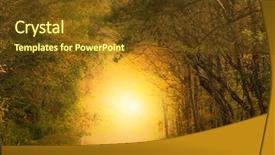  Presentation with sun rise - Audience pleasing slide deck consisting of fog and the sun rise backdrop and a tawny brown colored foreground