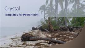 Presentation with coconut tree - PPT theme having fog-blankets-the-yucatan-peninsula and a lemonade colored foreground
