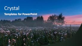  Presentation with fog - Presentation theme consisting of fog-crawls-over-meadow background and a ocean colored foreground