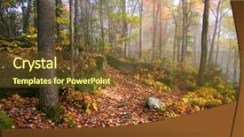  Presentation with fog - Presentation having fog in allegheny mountains background and a tawny brown colored foreground