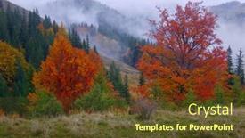  Presentation with autumn wood - Theme with fog-in-autumn-wood background and a  colored foreground
