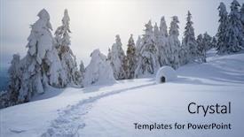  Presentation with camping snow - PPT theme with fog in the fir forest background and a light blue colored foreground