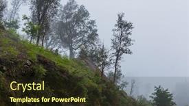  Presentation with fog - Amazing presentation theme having fog-in-the-forest backdrop and a wine colored foreground