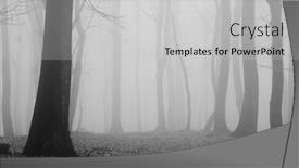  Presentation with fog - Theme enhanced with obesity drugs - weight loss green pills illustration background and a seafoam green colored foreground