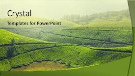  Presentation with fog - PPT theme featuring fog landscape munnar kerala india background and a soft green colored foreground
