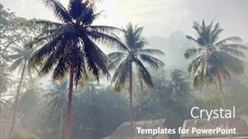  Presentation with fog - Colorful PPT theme enhanced with fog morning in tropical village backdrop and a gray colored foreground