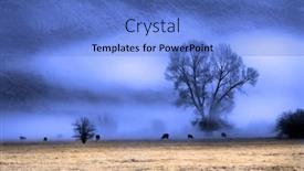  Presentation with fog - Cool new slides with fog-with-trees-and-bushes backdrop and a teal colored foreground