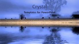  Presentation with fog - Theme having fog-with-trees-and-bushes background and a light blue colored foreground