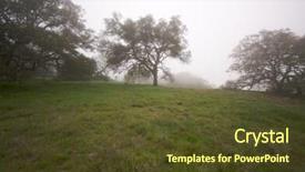  Presentation with oak - Amazing presentation design having foggy countryside with majestic oak trees backdrop and a tawny brown colored foreground