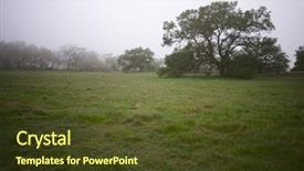  Presentation with oak - Beautiful slide set featuring foggy countryside with majestic oak trees backdrop and a tawny brown colored foreground