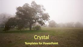  Presentation with oak - Presentation design with foggy countryside with majestic oak trees background and a tawny brown colored foreground