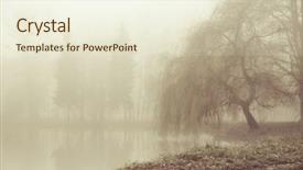  Presentation with foggy forest - Presentation theme featuring foggy day background and a cream colored foreground