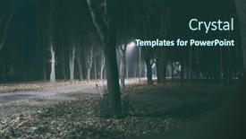  Presentation with foggy - Beautiful presentation theme featuring foggy-evening-in-the-autumn backdrop and a tawny brown colored foreground