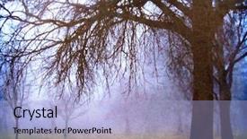  Presentation with nature - Presentation design consisting of foggy forest - image from nature background texture background and a light blue colored foreground