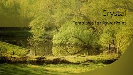  Presentation with foggy forest - Colorful theme enhanced with foggy forest - quiet pond with large trees backdrop and a  colored foreground