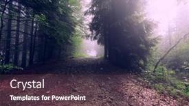  Presentation with foggy forest - Presentation enhanced with foggy-forest-dark-forest-nature background and a tawny brown colored foreground