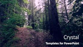  Presentation with foggy forest - Slide set with foggy-forest-dark-forest-nature background and a navy blue colored foreground