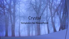  Presentation with foggy forest - Colorful theme enhanced with foggy forest during fall toned with a retro vintage instagram backdrop and a light blue colored foreground