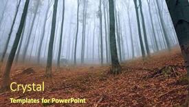  Presentation with foggy forest - Audience pleasing PPT layouts consisting of foggy-forest-in-autumn-fallen backdrop and a tawny brown colored foreground