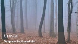  Presentation with foggy forest - PPT layouts enhanced with scary hills - foggy forest in late autumn background and a violet colored foreground