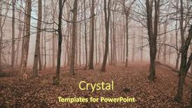  Presentation with foggy forest - Audience pleasing presentation theme consisting of foggy forest in late autumn path covered with fallen leaves backdrop and a tawny brown colored foreground