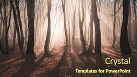  Presentation with foggy forest - Theme featuring foggy-forest-in-late-autumn background and a tawny brown colored foreground