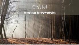  Presentation with foggy forest - Presentation theme consisting of foggy-forest-in-late-autumn background and a gray colored foreground