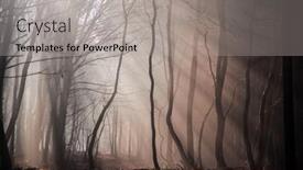  Presentation with foggy forest - Slides enhanced with foggy-forest-in-late-autumn background and a light gray colored foreground