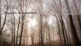  Presentation with foggy forest - Presentation with foggy-forest-in-late-autumn background and a light gray colored foreground