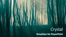  Presentation with foggy forest - Slide set featuring foggy-forest-in-late-autumn background and a ocean colored foreground