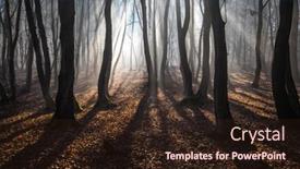  Presentation with foggy forest - Slides featuring foggy-forest-in-late-autumn background and a wine colored foreground