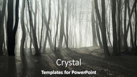  Presentation with foggy forest - Slide set featuring foggy-forest-in-late-autumn background and a dark gray colored foreground