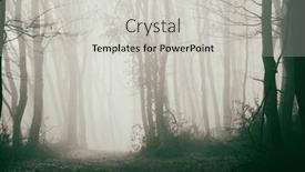  Presentation with foggy forest - Presentation theme featuring foggy-forest-in-late-autumn and a light gray colored foreground