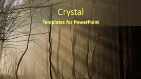  Presentation with foggy forest - PPT theme featuring foggy-forest-in-late-autumn and a tawny brown colored foreground