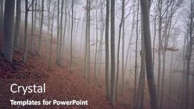  Presentation with foggy forest - Amazing PPT layouts having foggy forest in the autumn backdrop and a gray colored foreground