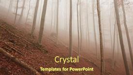  Presentation with foggy forest - Audience pleasing PPT theme consisting of foggy-forest-in-the-autumn backdrop and a tawny brown colored foreground