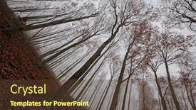  Presentation with foggy forest - PPT layouts with foggy-forest-in-the-autumn background and a tawny brown colored foreground