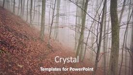  Presentation with foggy forest - Audience pleasing presentation theme consisting of foggy-forest-in-the-autumn backdrop and a violet colored foreground