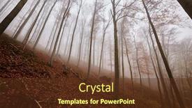  Presentation with foggy forest - Presentation design consisting of foggy-forest-in-the-autumn background and a tawny brown colored foreground