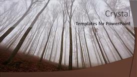  Presentation with foggy forest - Amazing theme having foggy-forest-in-the-autumn backdrop and a light gray colored foreground