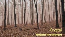  Presentation with foggy forest - Cool new slide deck with foggy-forest-in-the-autumn backdrop and a tawny brown colored foreground