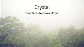  Presentation with enchanted forest - Beautiful PPT layouts featuring foggy forest backdrop and a cream colored foreground