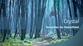  Presentation with foggy forest - Audience pleasing theme consisting of foggy landscape in autumn forest backdrop and a ocean colored foreground