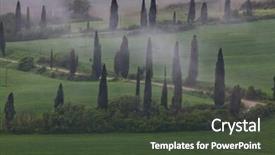  Presentation with solar tree evening landscape - Presentation theme consisting of foggy landscape with cypress trees background and a  colored foreground