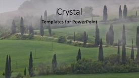  Presentation with foggy - Beautiful slide set featuring foggy landscape with cypress trees backdrop and a light gray colored foreground